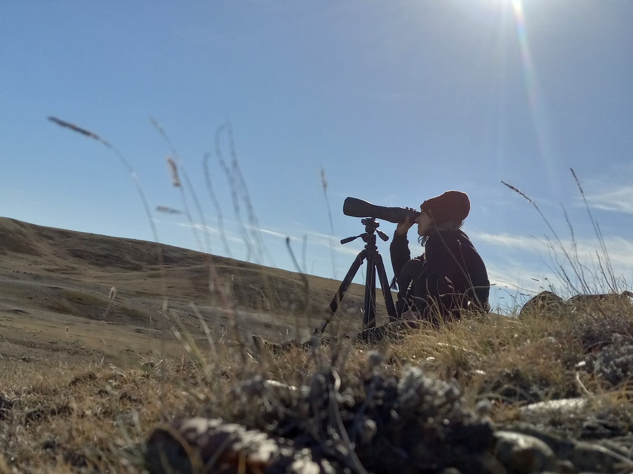 A side-profile view of MSc student Shayla Jackson sitting in a hilly field with blue skies. Shayla is peering through a thick black telescope. One leg is extended and she is wearing a red toque.