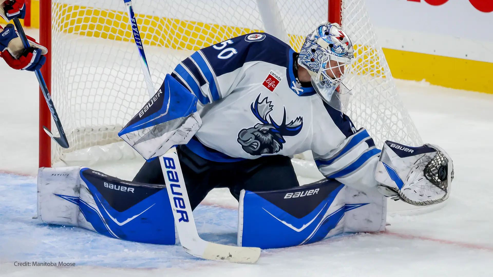 Alumni Game with the Manitoba Moose