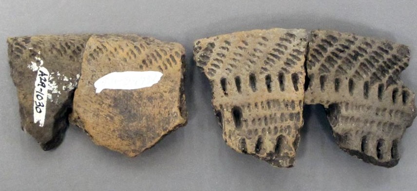 late Woodland ceramic sherds