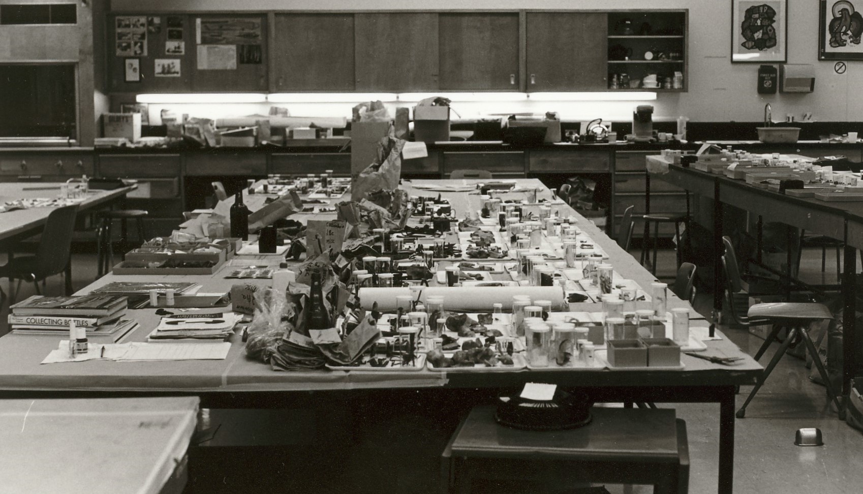 artifacts laid out in a laboratory