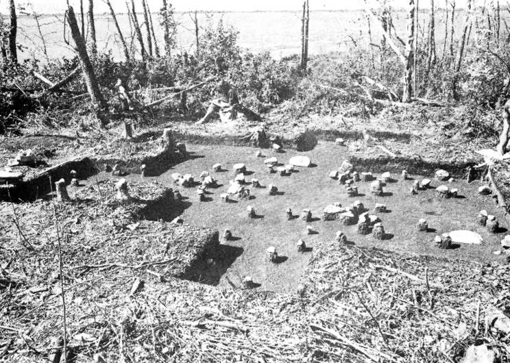 The domestic area of the Sinnock site after excavation