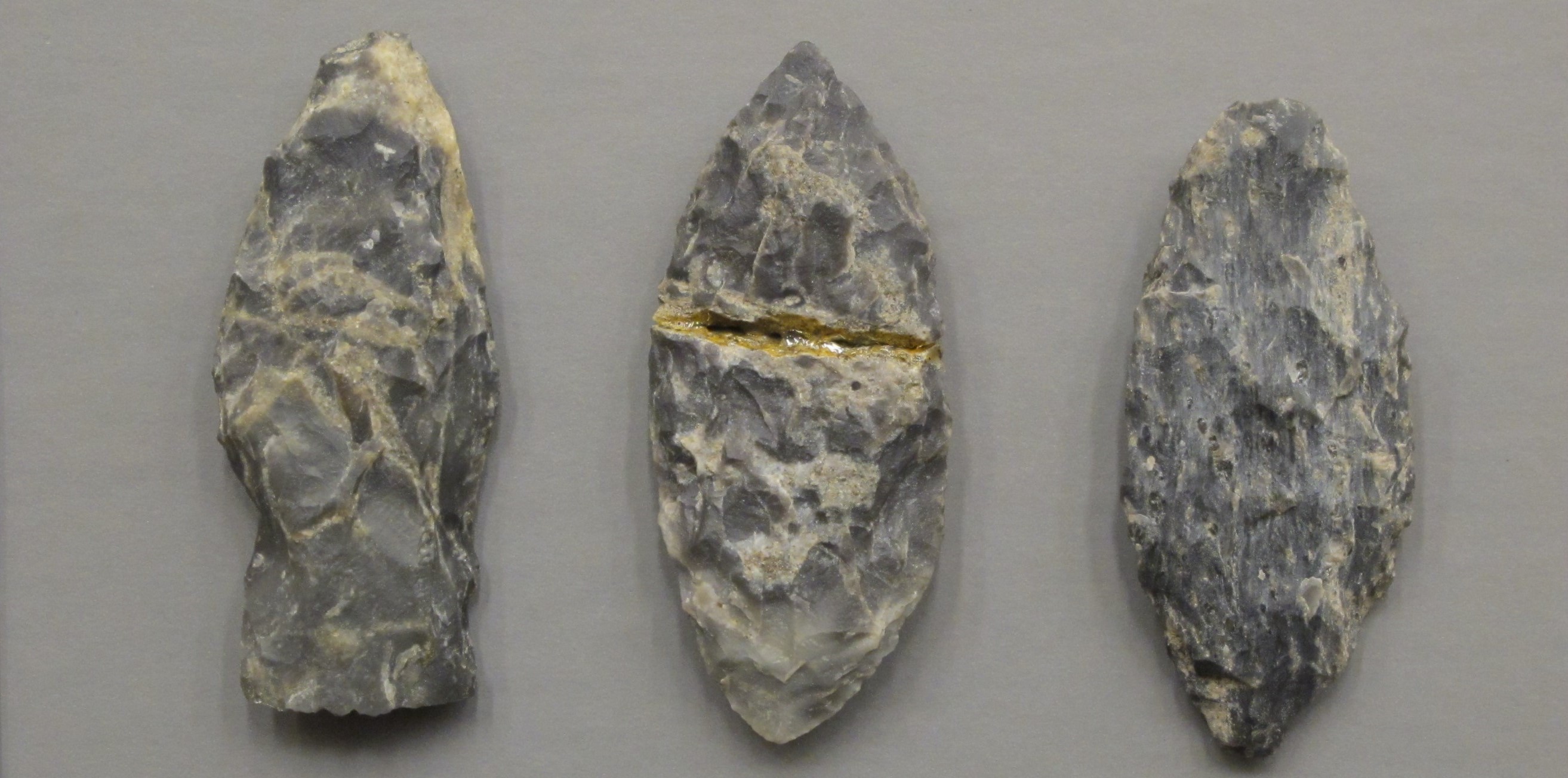 projectile points from the Sinnock site