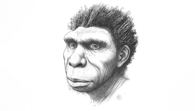 Homo bodoensis