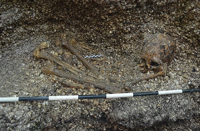 photo of skeletal remains