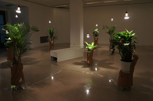 jane-tingley-plant-ipod-installation.jpg