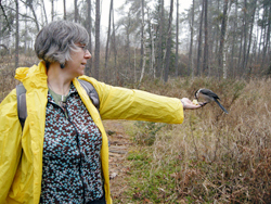 Dr. Pauline Greenhill