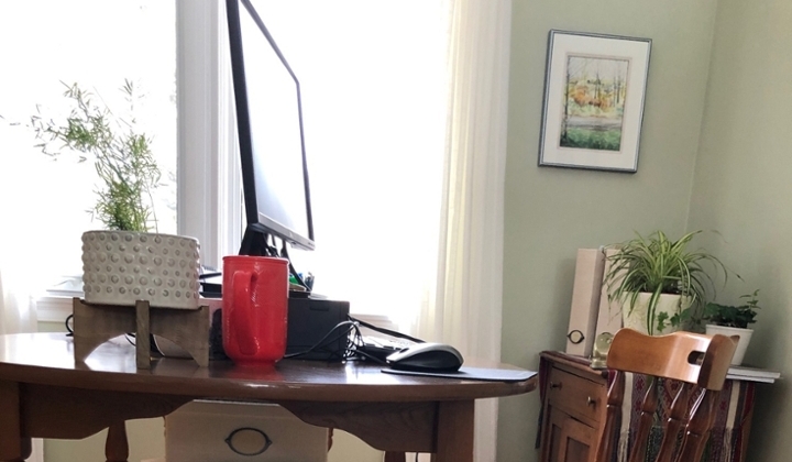 Lisa McLean's WFH space