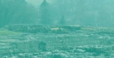 photo of Vindolanda (stone structures)
