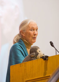 Jane Goodall