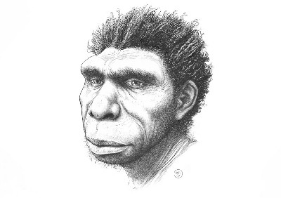 Homo Bodoensis