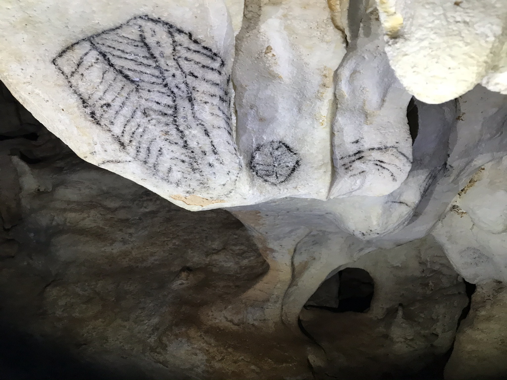 petroglyphs-in-cueva-la-rocca,-cuba.jpeg