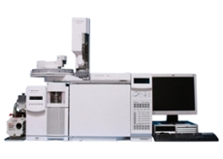 Gas Chromatograph