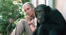 Dr. Jane Goodall  with chimp