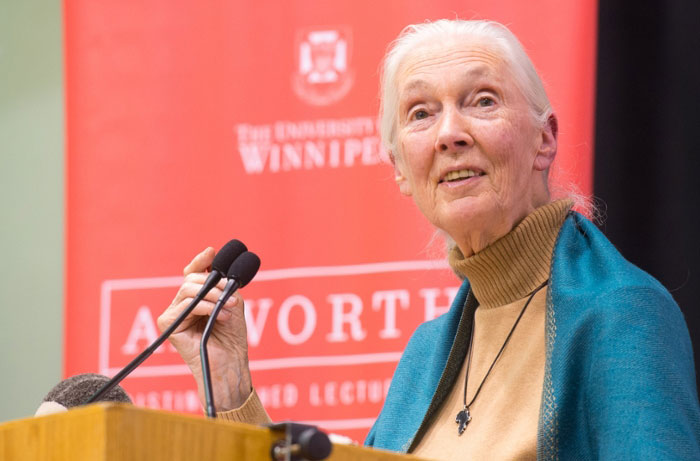 Dr. Jane Goodall speaking at a podium