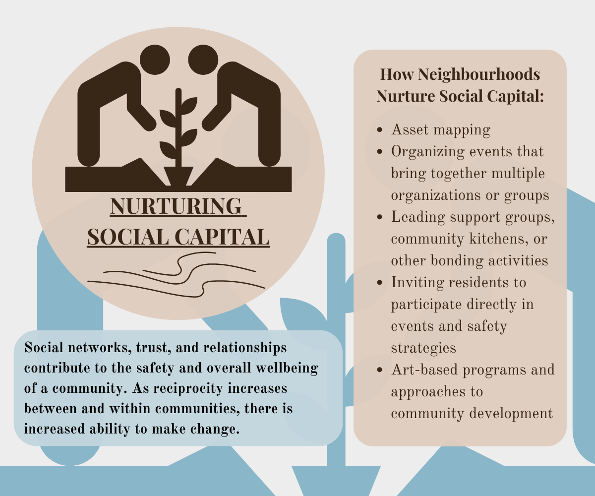 Nurturing Social Capital