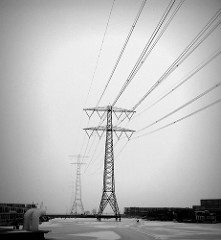 Black and white photo of powerlines