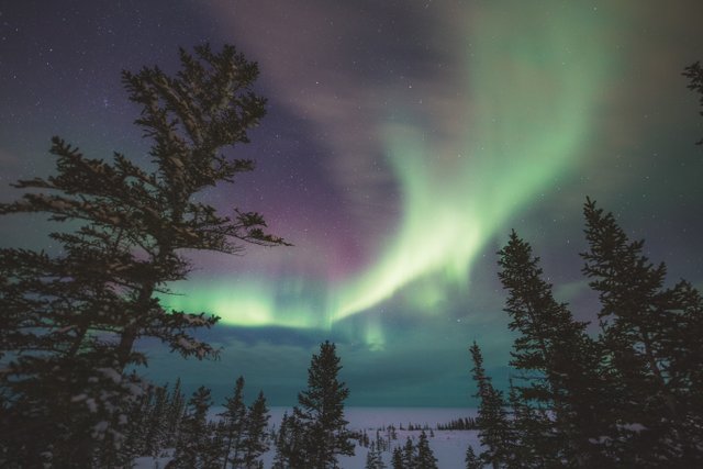 Northern Lights in Churchill