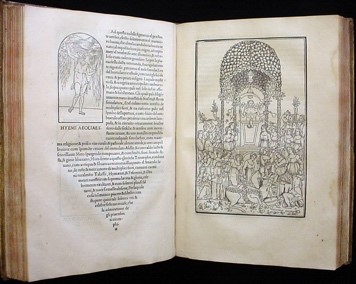 Hypnerotomachia Poliphili, first edition, 1499. Public 
