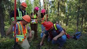 forestry field camp