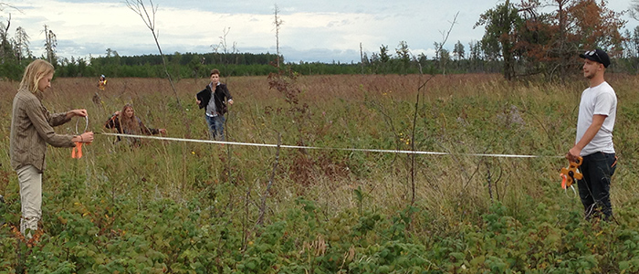 Forest Ecosystems Field Course, Sandilands Discovery Centre