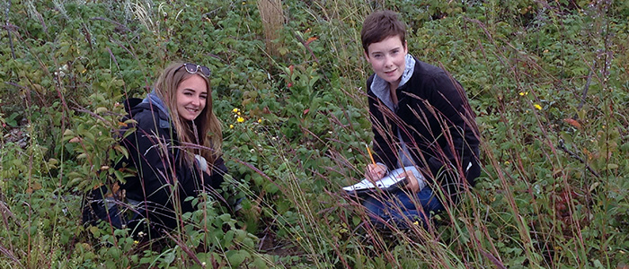 Forest Ecosystems Field Course, Sandilands Discovery Centre