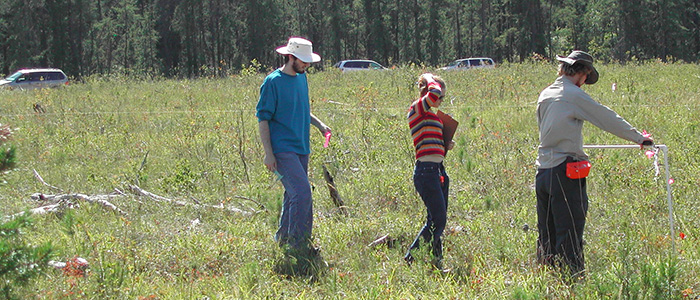 Forest Ecosystems Field Course, Sandilands Discovery Centre