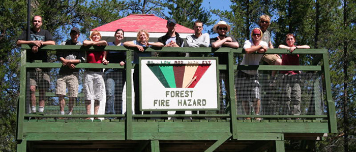 Forest Ecosystems Field Course, Sandilands Discovery Centre