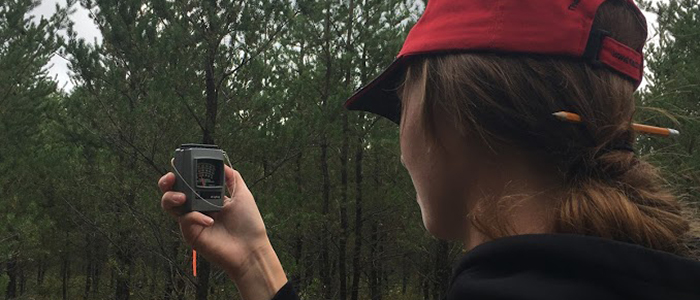 Forest Ecosystems Field Course, Sandilands Discovery Centre