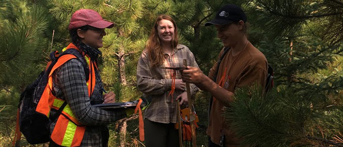 Forest Ecosystems Field Course, Sandilands Discovery Centre