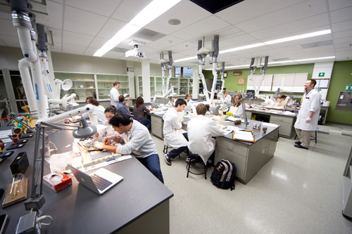Students in a lab