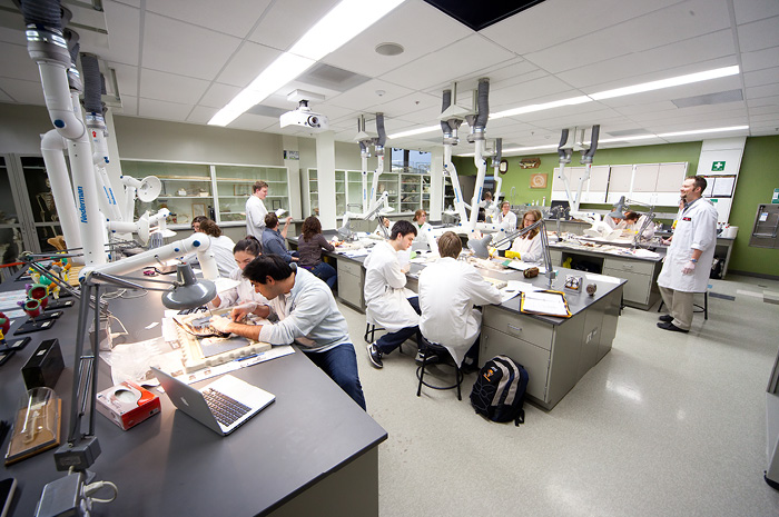 Doing lab work in Richardson College's state-of-the-art chemistry labs.