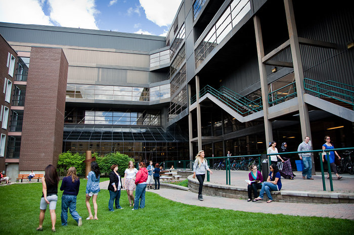 Enjoy outdoor study space and connect with friends in the courtyard adjacent to Centennial Hall.