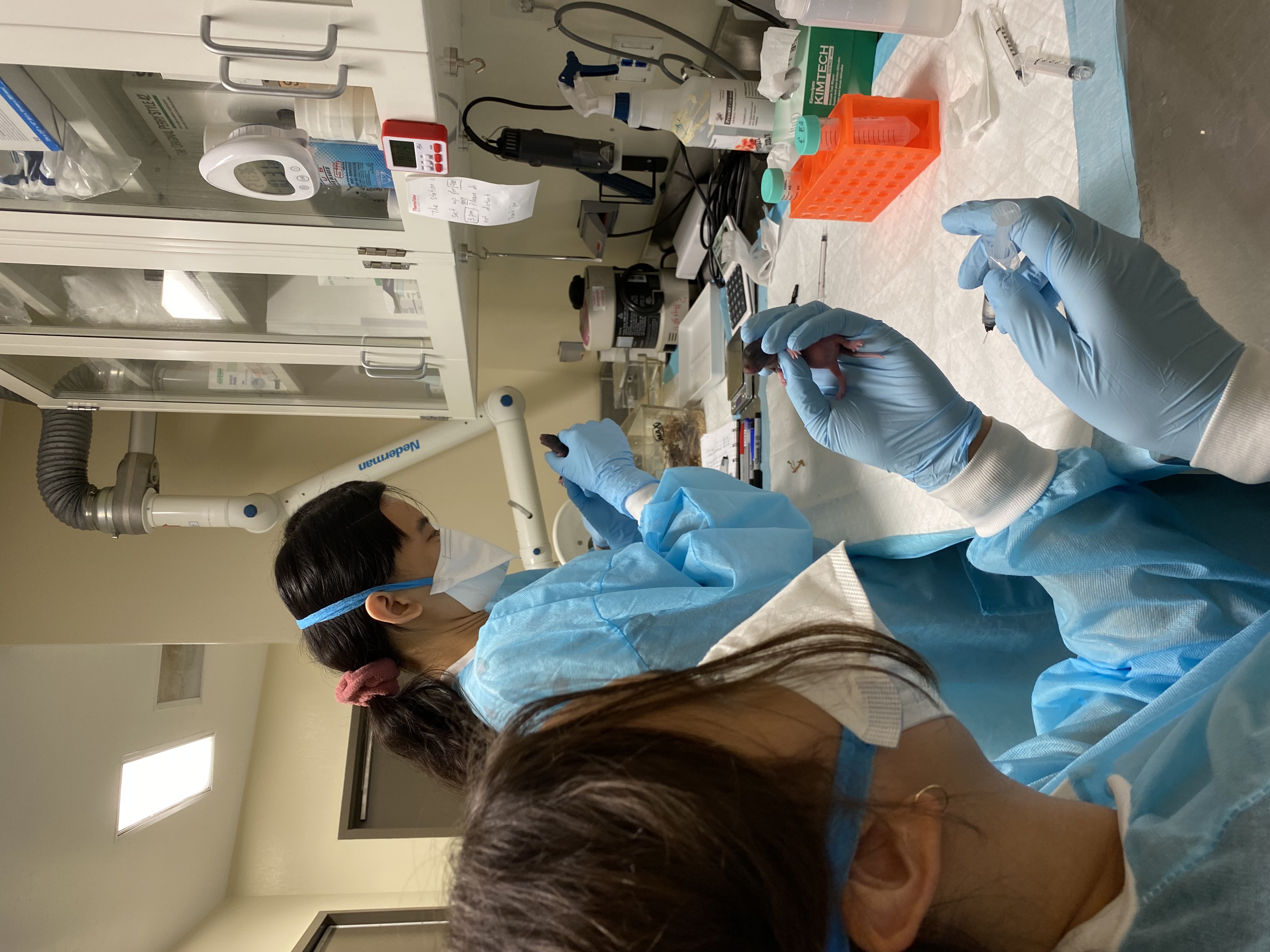 Jasmyne and Isabella in the lab. 