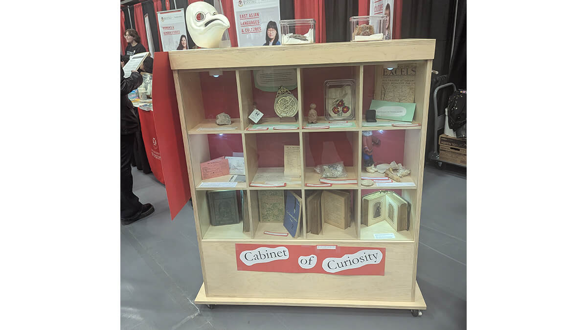 A case title "Cabinet of Curiosities" with books and objects on the shelves