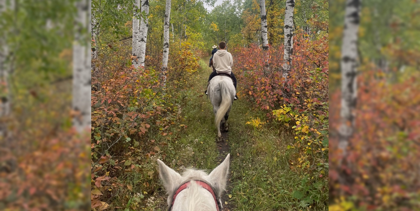 horseback-riding-1400x704.jpg