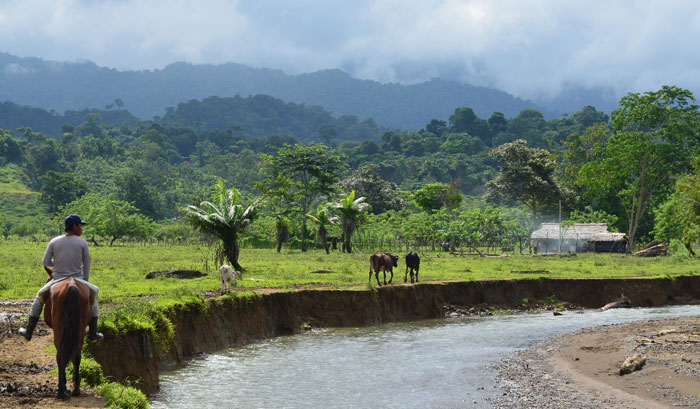 Man on horseback in Colombia