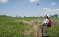 Ian Tole working in the wetlands