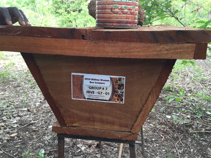 bee-hive-of-bidima-women-beekeepers.jpg