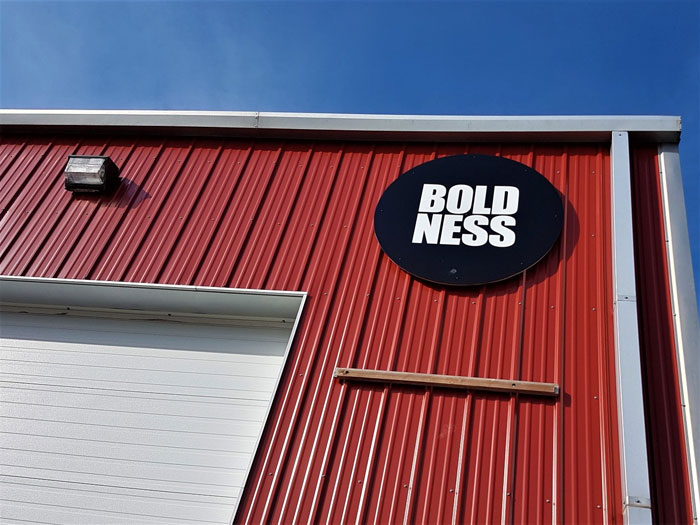 The Winnipeg Boldness Project building