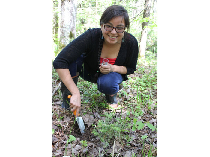 Data Collection of Waagaagin (Bracken Fern Fiddleheads) and soil samples.