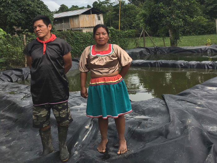 Cofan family working with turtles in artifical ponds