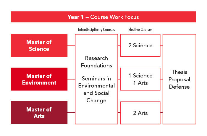 Diagram showing Year 1 stream