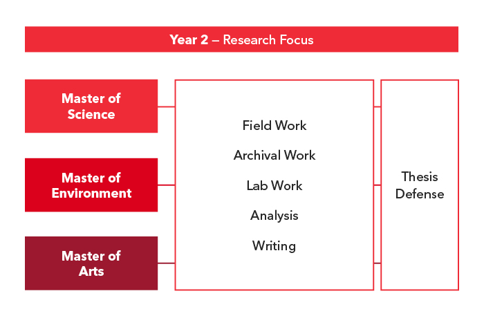 Diagram Showing Year 2 Stream