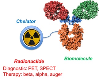 Chelator Biomolecule Radionuclinde