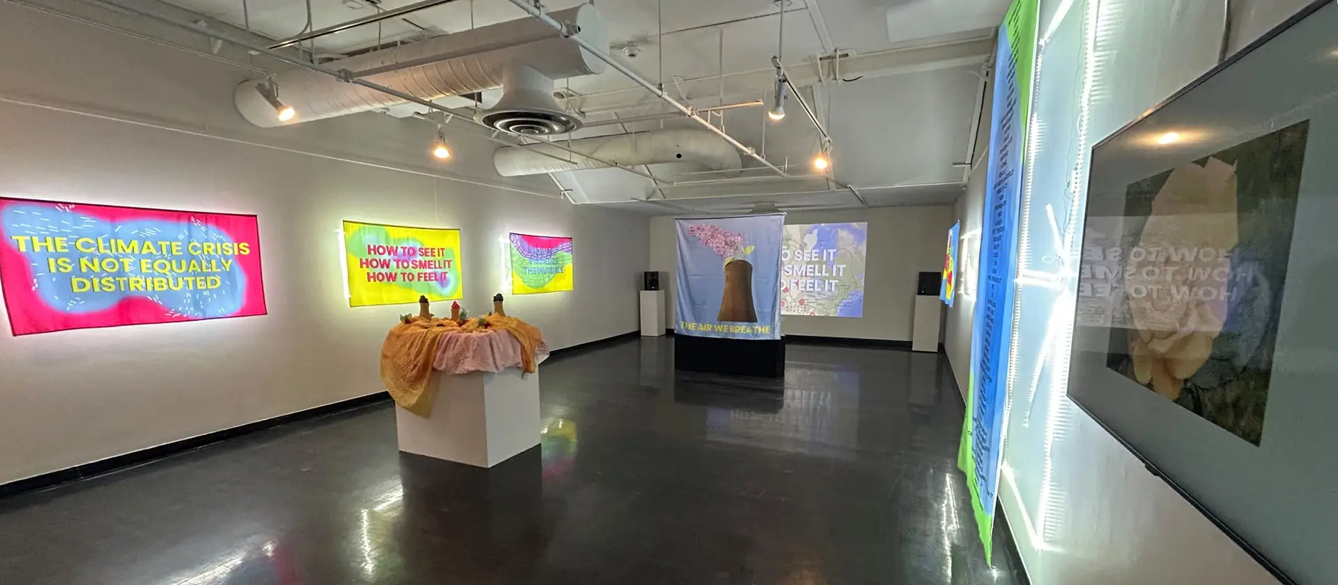 Art Gallery wth artwork displayed on the walls 