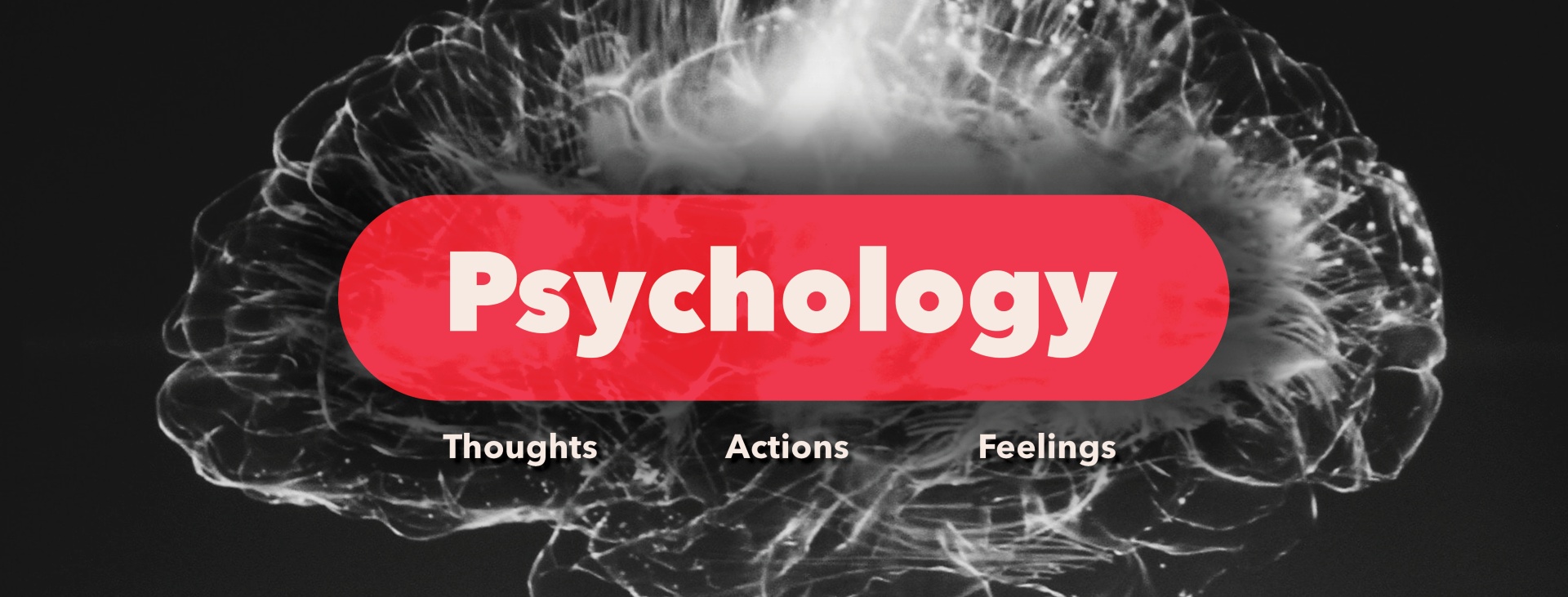 2023_05_psychology_home_page_banner.jpg