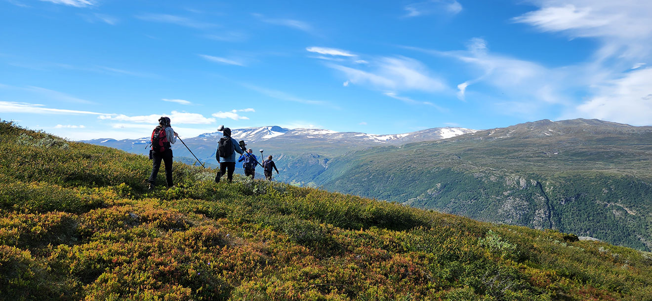 This image shows four people walking with research equipment on a hillside overlooking a mountain range. The sky is bright blue above the mountains.