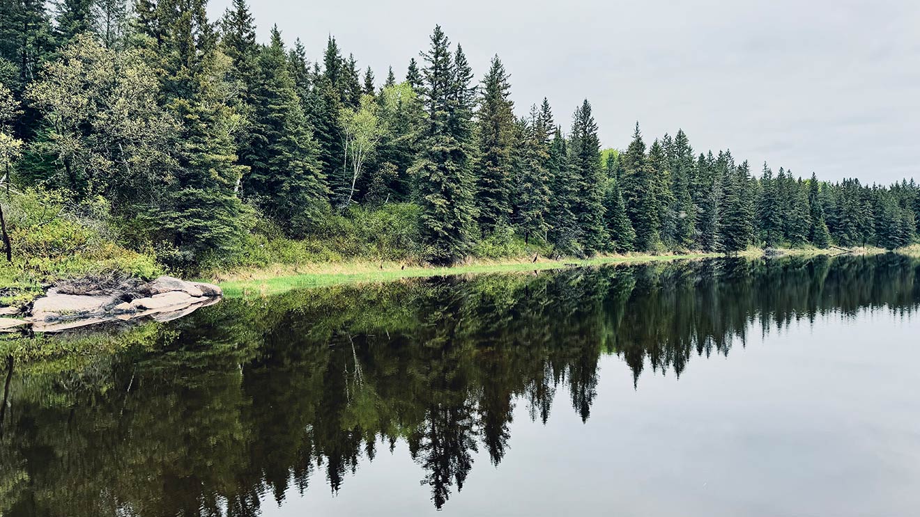 A colour photo of green trees in a forest reflected on calm water, with morning light