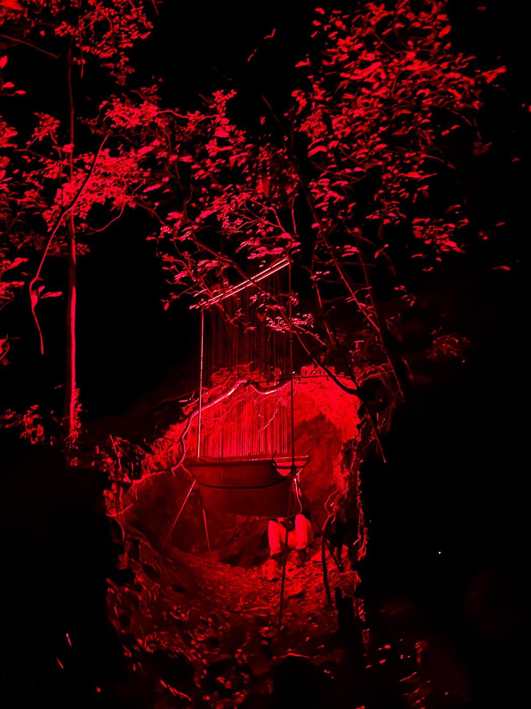A harp trap stands at a mine entrance at dusk, with a researcher behind it using a red headlamp against a rocky hillside surrounded by rainforest.