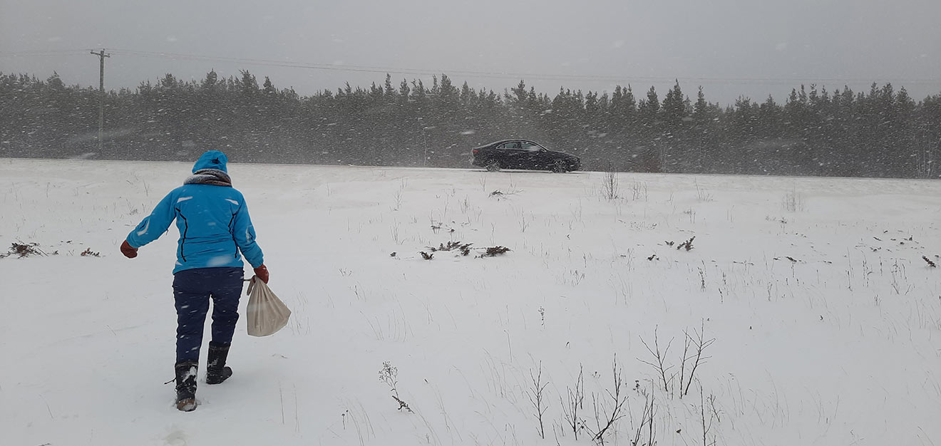 A woman in a bright blue jacket walks through snow to a black car parked on a gravel road. There is a pine forest in the background.
